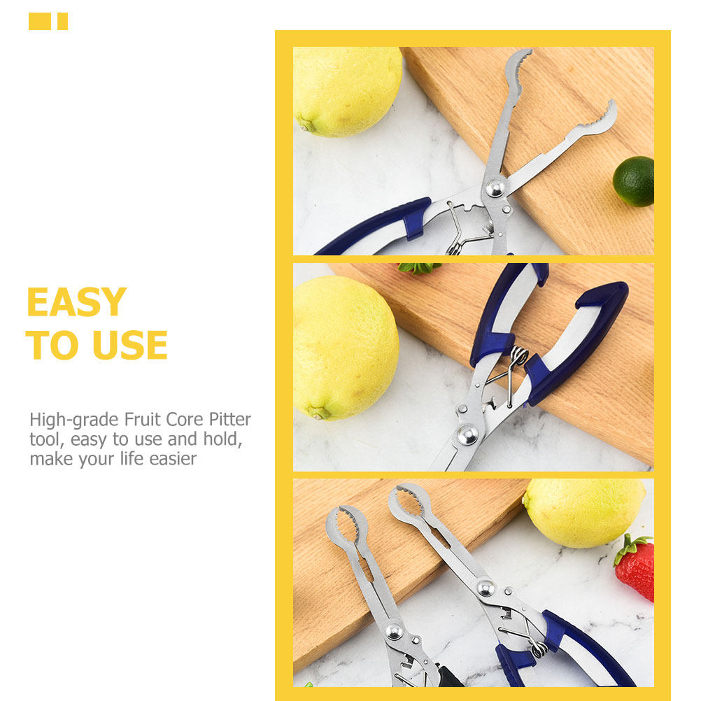 Hawthorn Core Remover Tool Por - огляд і ціна Kitchen Gadgets & Toys